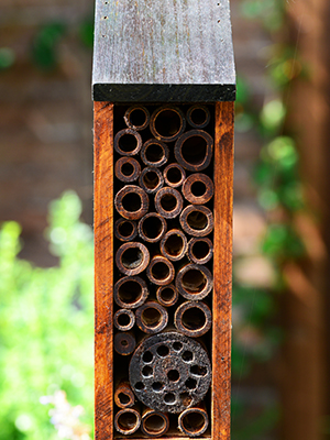 build a bee nesting house