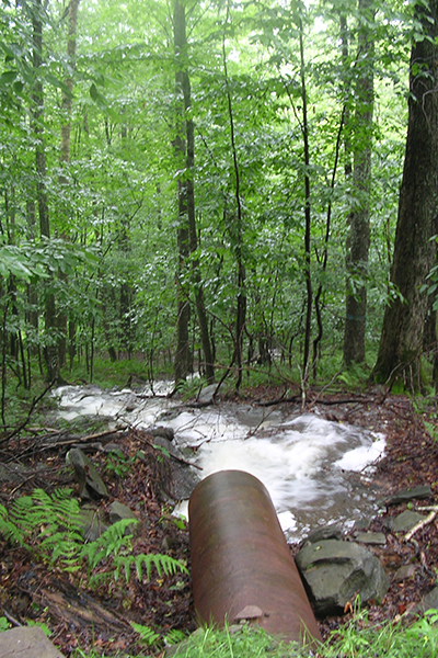 A culvert sprays water like a firehose after a heavy rainstorm in a Catskills forest.