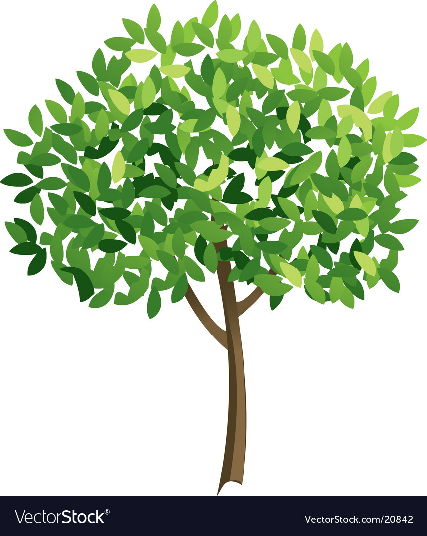 1 Deciduous forest nutrient cycle conceptual diagram