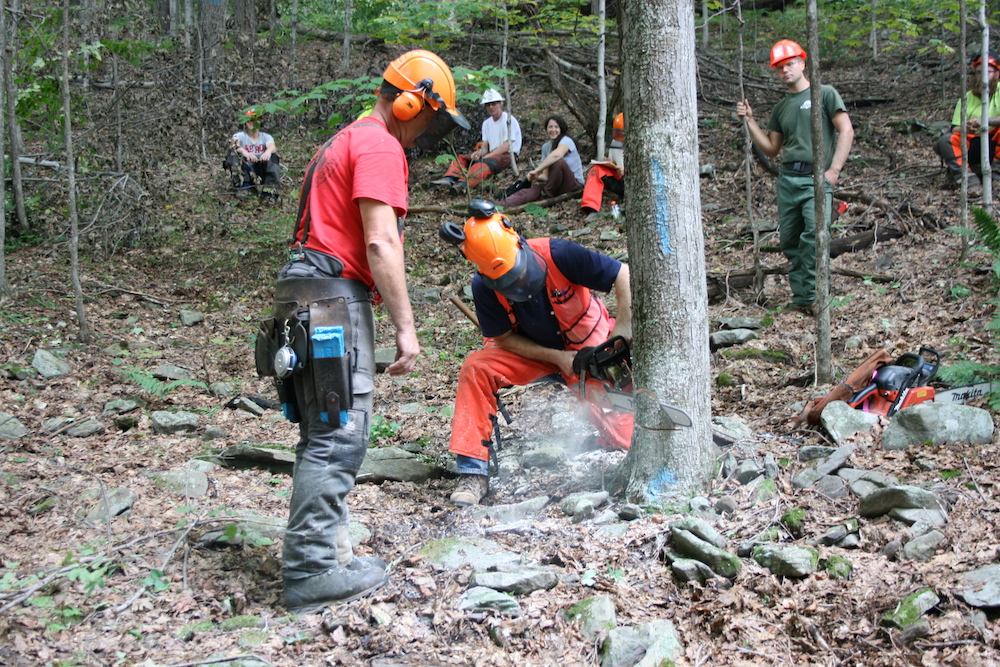 1 Game of logging chainsaw safety tree felling course New York