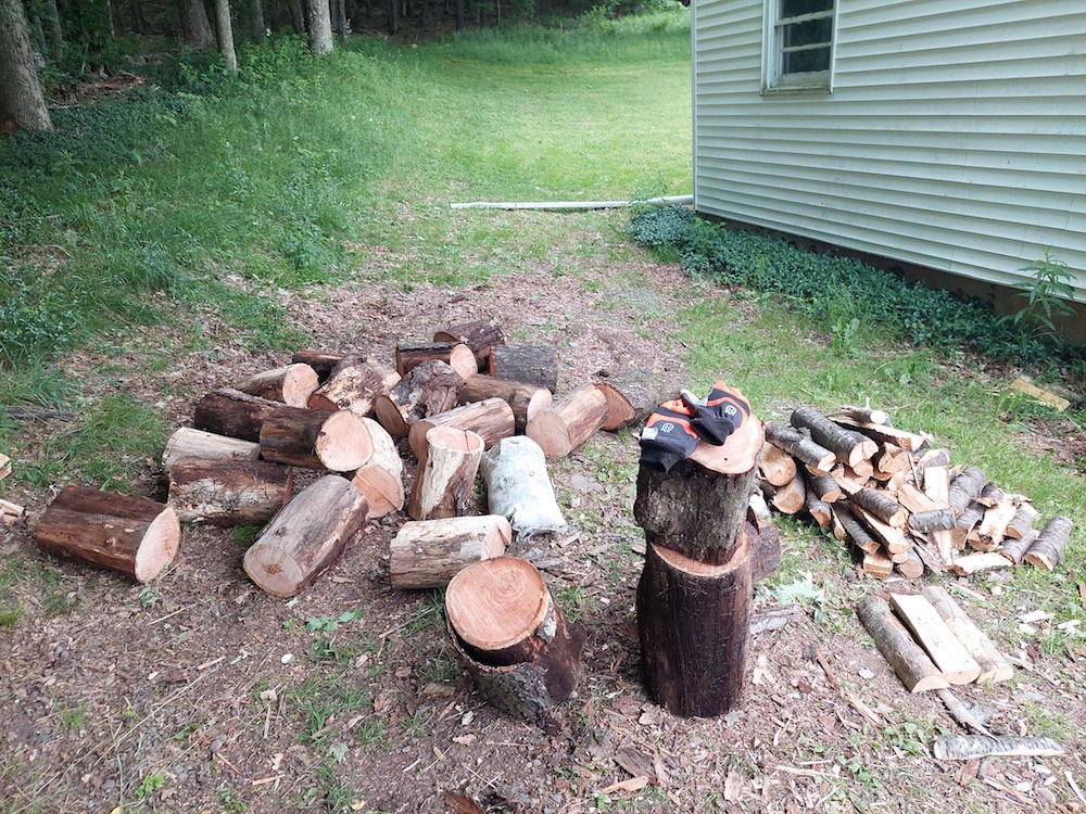 5 Cherry wood rounds ready to be split