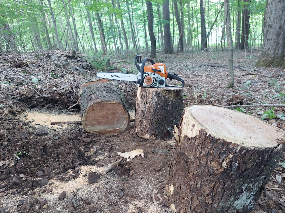 7 Bucking a cherry tree for firewood Stihl MS180C