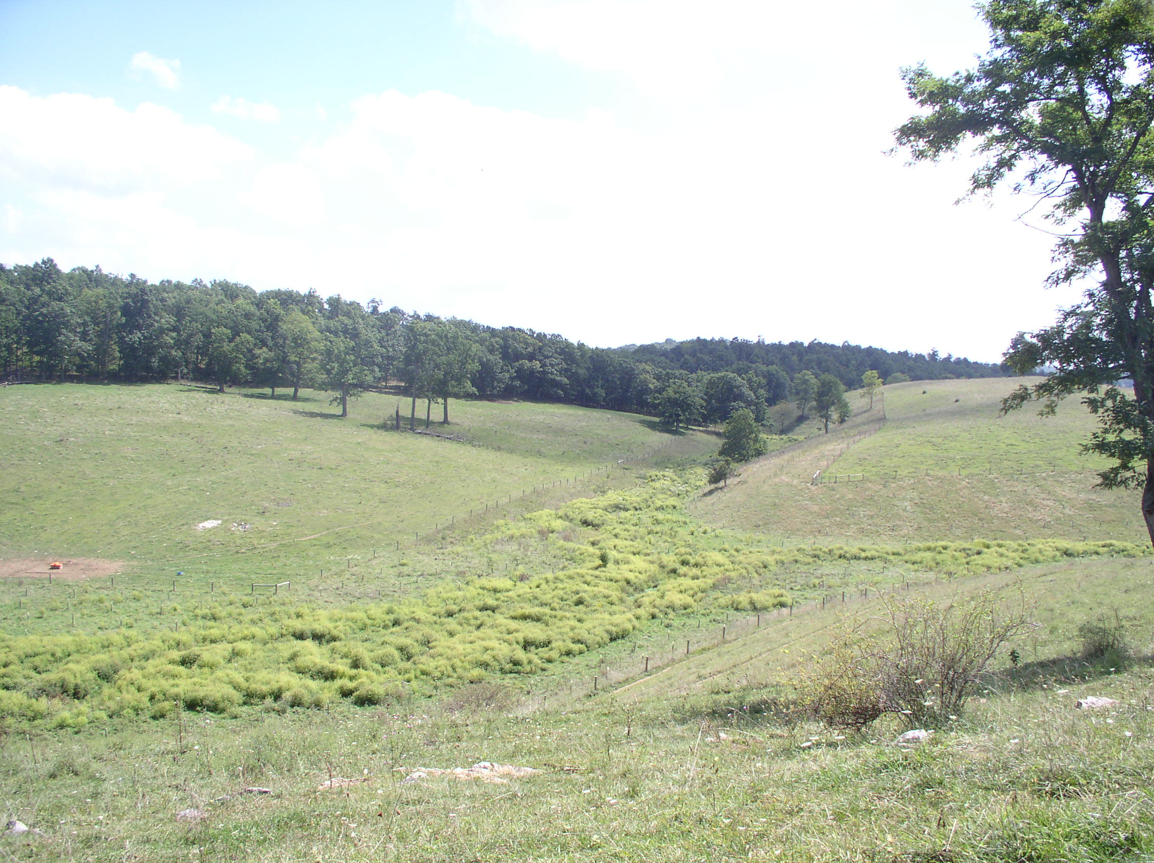 Vegitation surrounding a winding river.