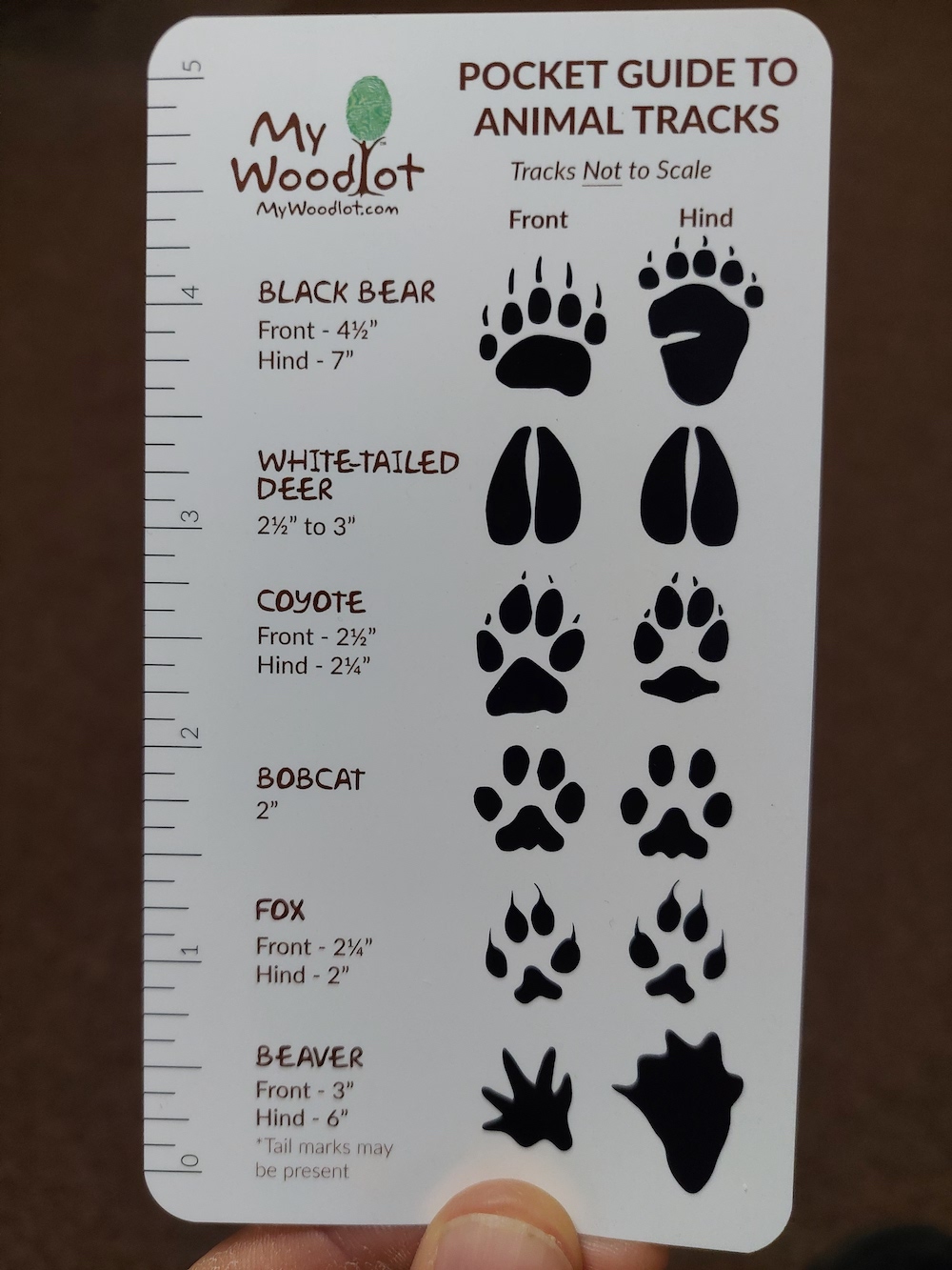 1 MyWoodlot Animal Tracks Pocket Guide