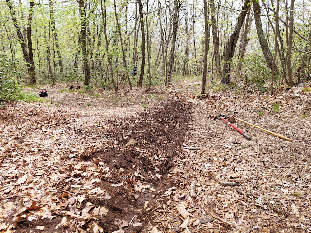 Hand dug water bar Clearpool Model Forest