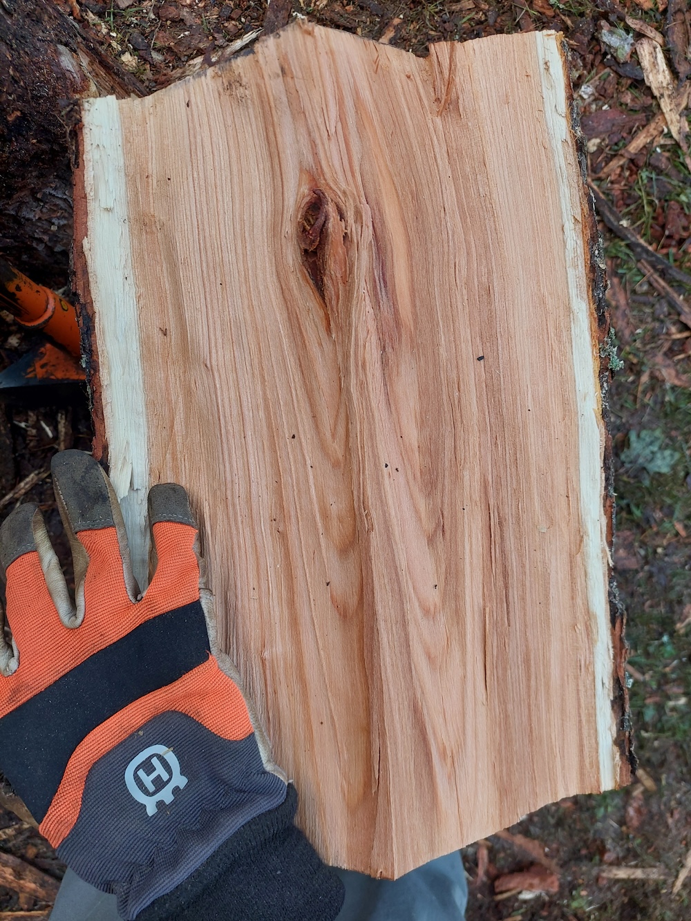 A chuck of black cherry firewood.