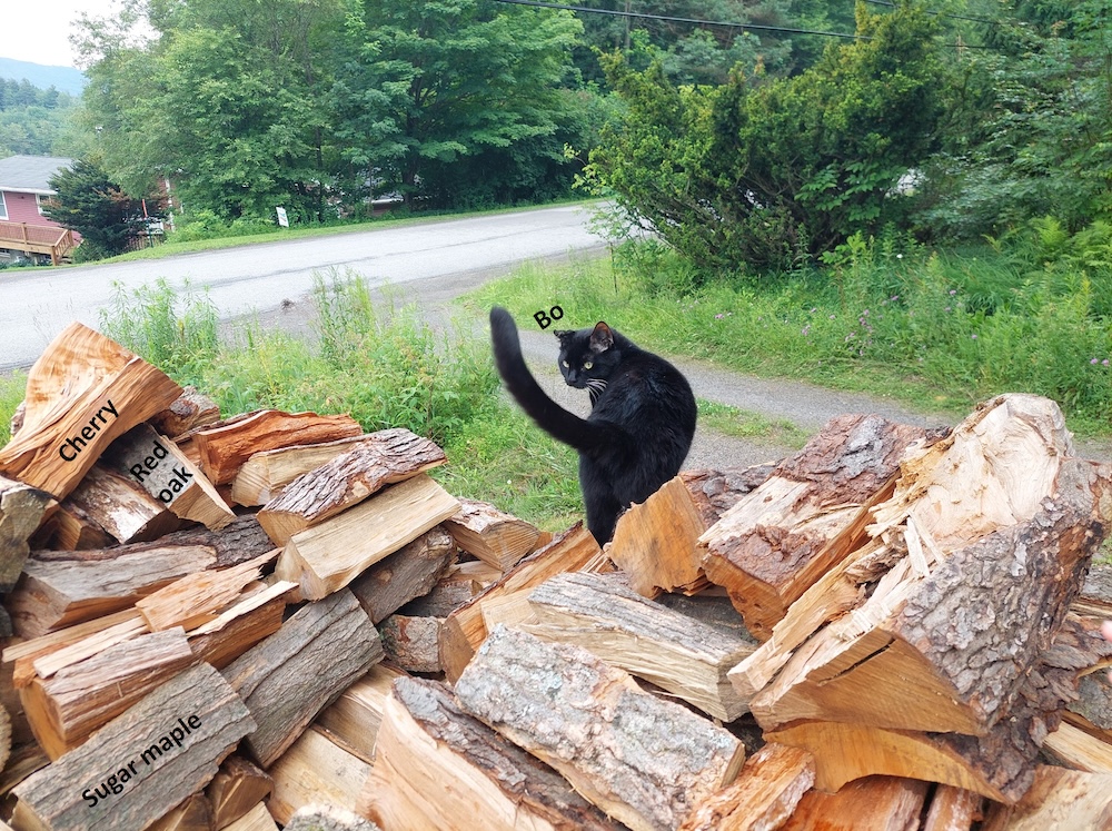 Bo Furbrown on a firewood stack of hardwood species.