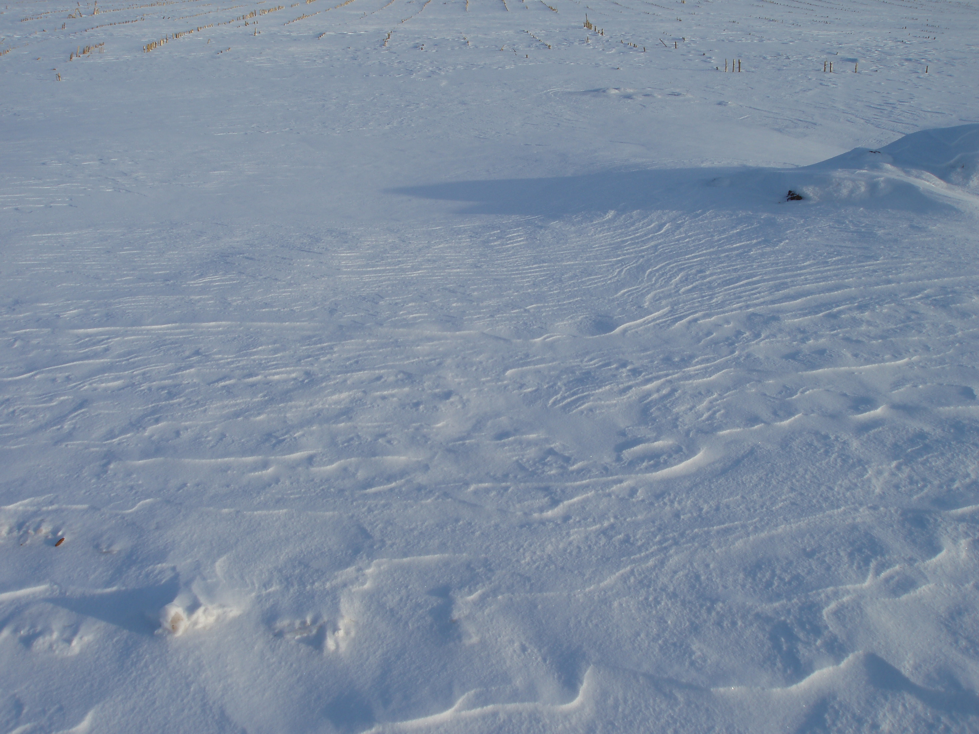 Ripples in the snow from the wind.