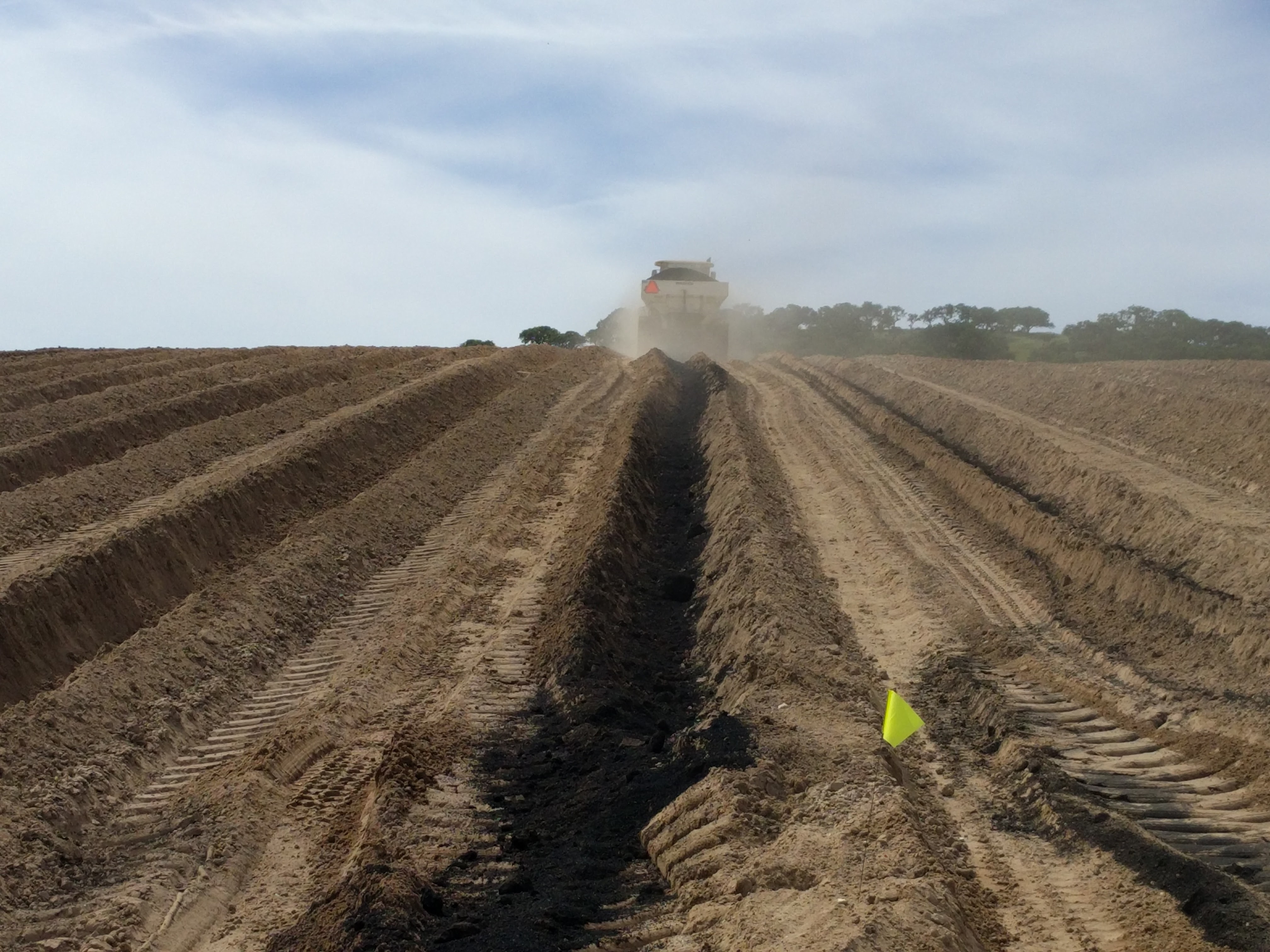 Biochar being added to soil