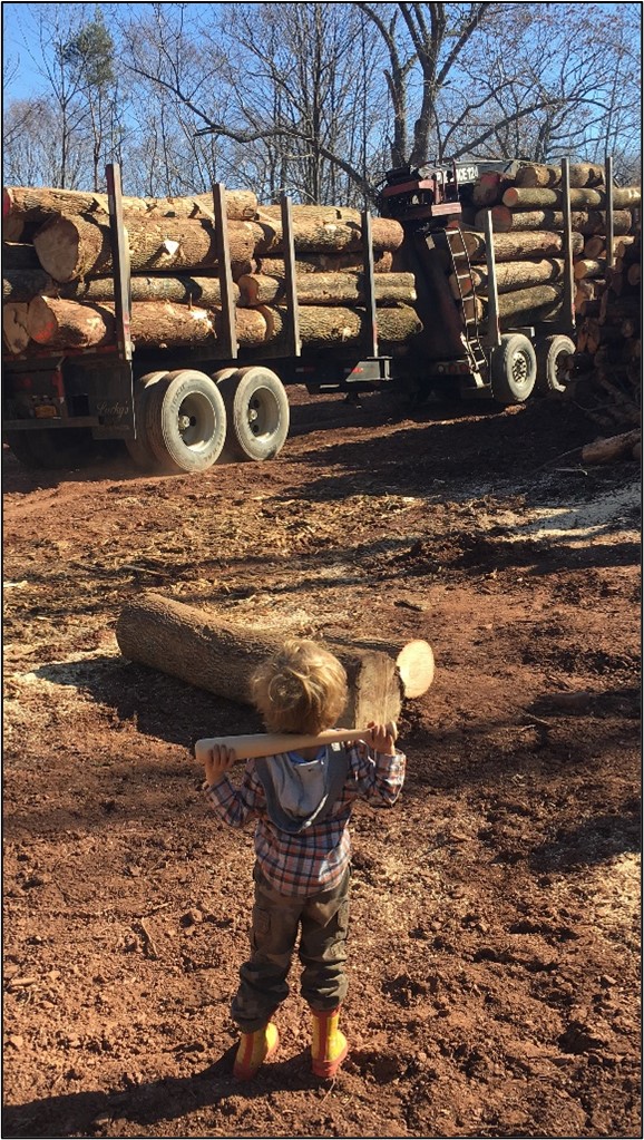 The author’s son watches a load of logs leave the landing, headed for the mill.