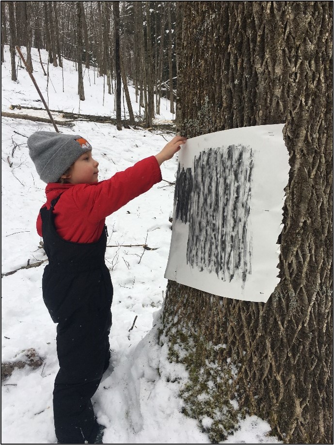 Creating a charcoal rub on the bark of a large ash tree.