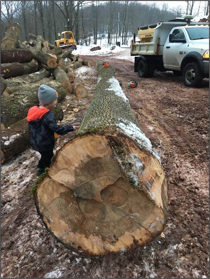 Large ash log on the landing.