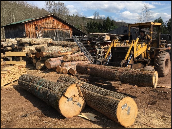 Ash logs at the mill with “S” irons to limit end splitting called checking.