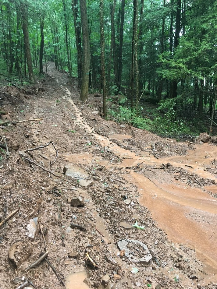 Surface runoff and erosion on a newly-constructed skid trail.