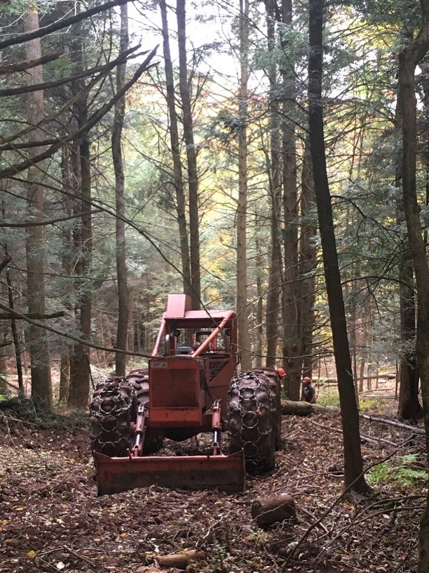 Timberjack skidder in a dark hemlock stand.