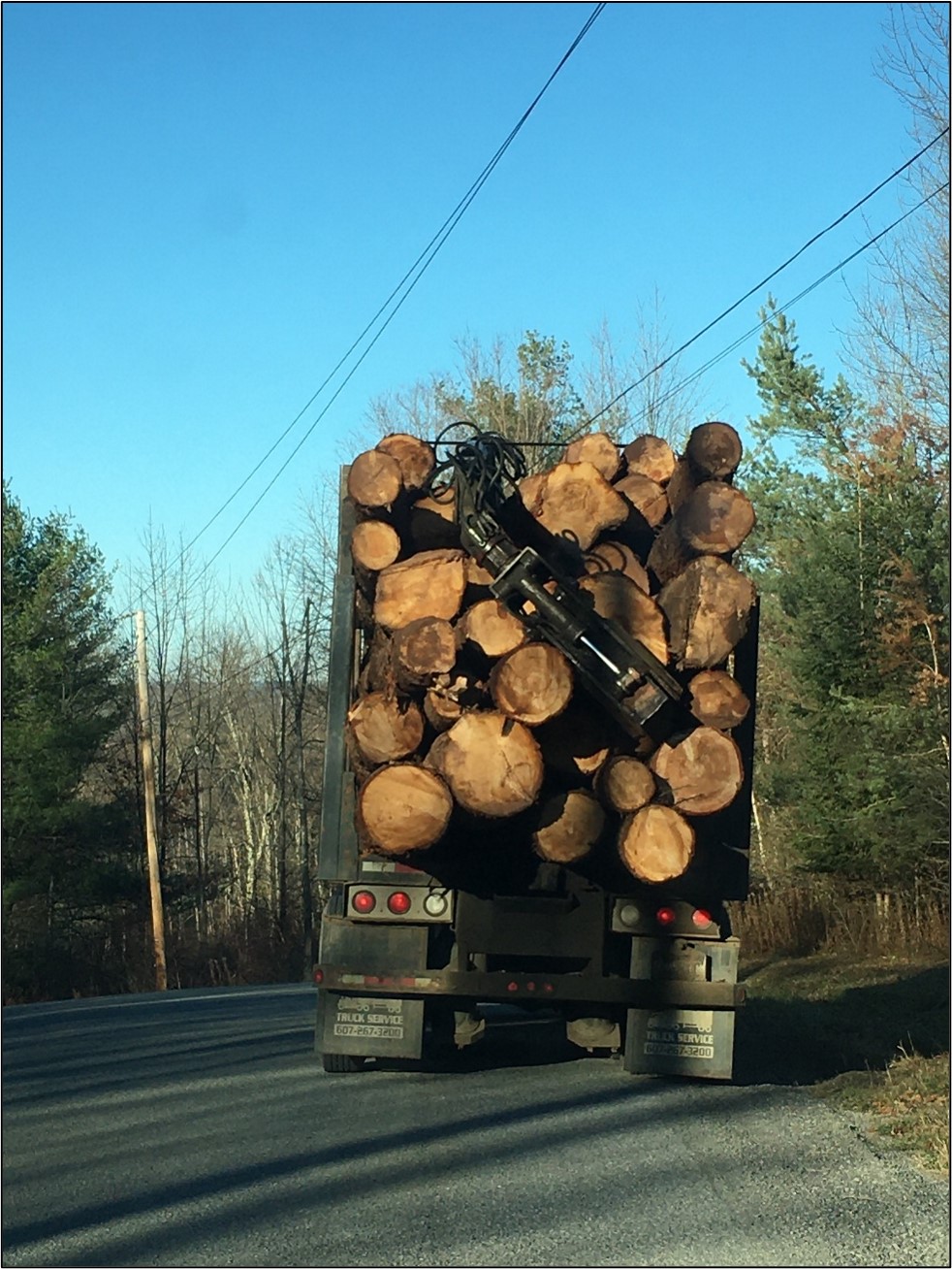 A loaded log truck hauls hemlock logs to the mill.