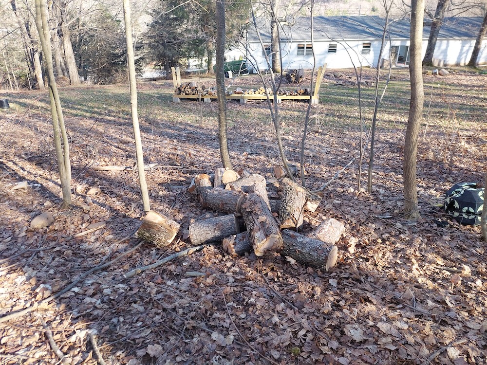 A small pile of cherry logs cut into lengths of 16 inches. The author’s  backyard wood rack and house is shown in the background.