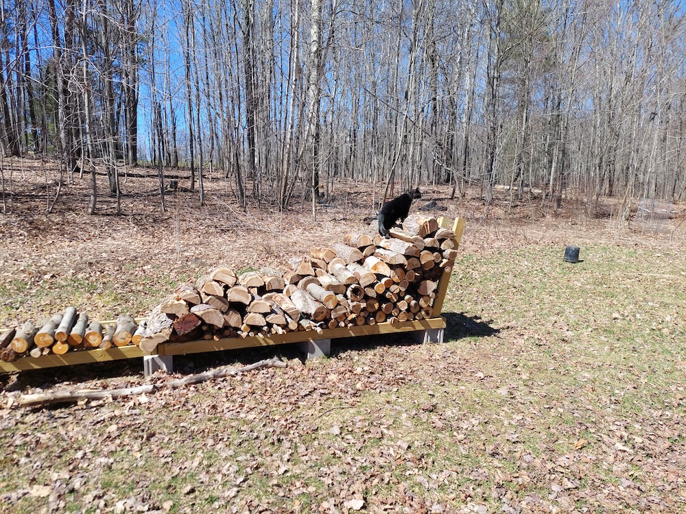 The author’s small tuxedo cat named Beatrice soaks up the sun’s rays from atop the wood stack.