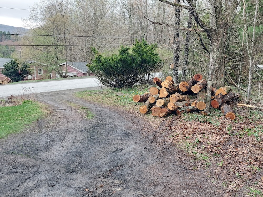 A two-cord load of log-length firewood placed beside a soggy driveway on a grey Catskill Mountain day.