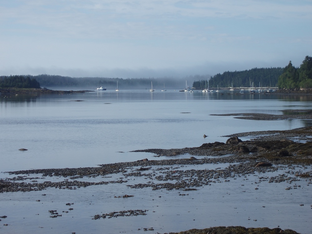 The calm ocean waters in a bay with sailboats moored in the distance and the morning mist evaporating off the water against the far conifer woods.