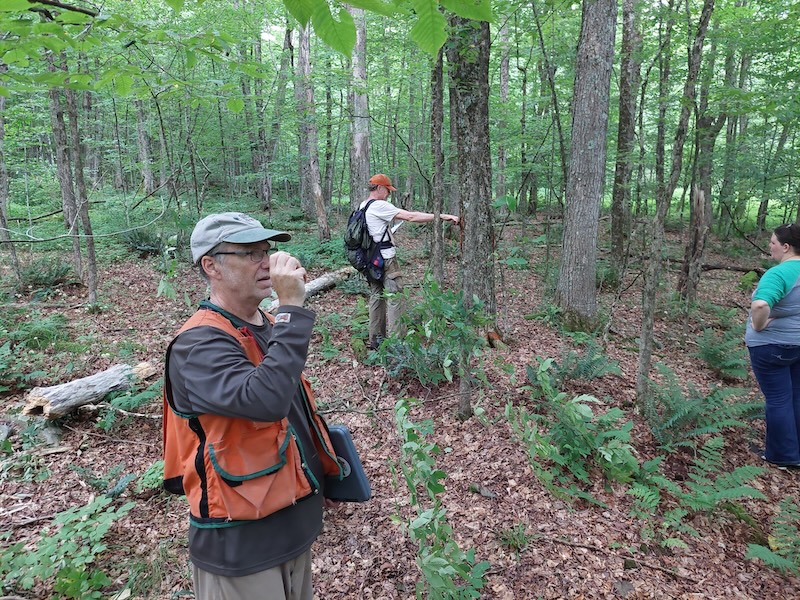 A forester in the foreground with an orange vest and clipboard uses a wedge prism to estimate tree basal area. A forester in the background wearing a backpack uses a stick to estimate tree diameter. Another person looks on. 