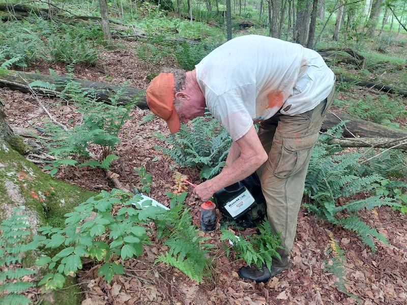 A forester refills their paint gun with a jug of Barkmark orange paint.