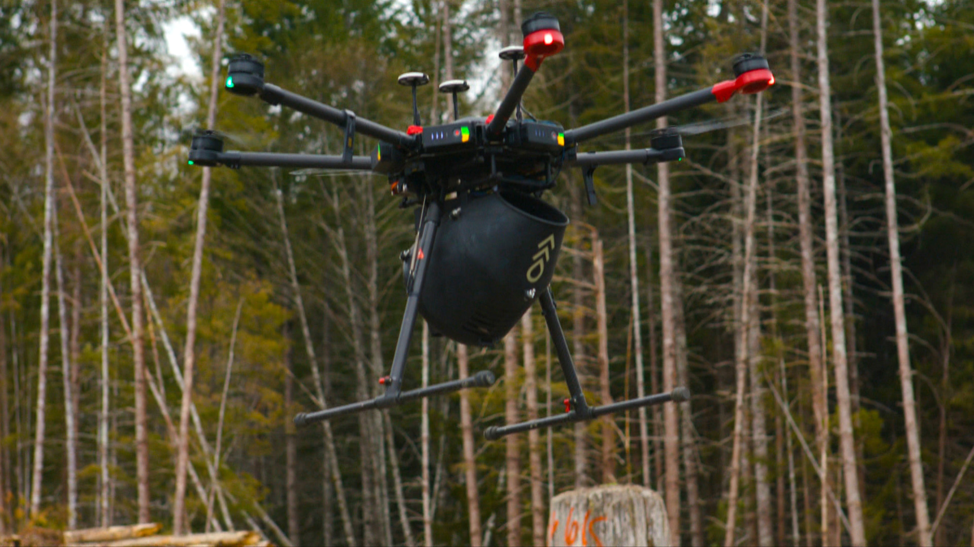 Drone used for dropping tree seeds.