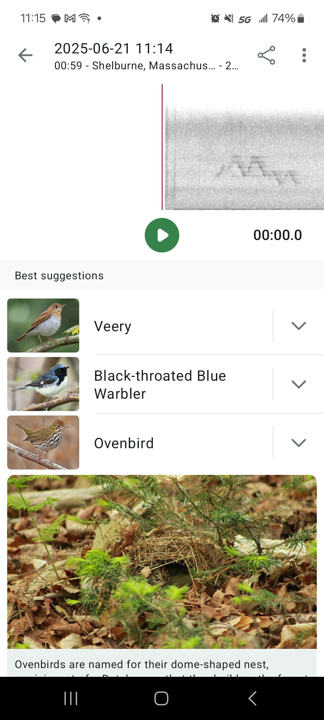 Screen shot from the Merlin Bird app showing the results of a Sound ID session. Photo thumbnails show a veery, black-throated blue warbler, and ovenbird.