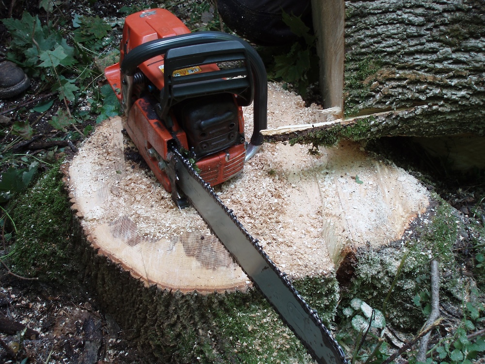 A chain saw sitting on a just-cut stump.