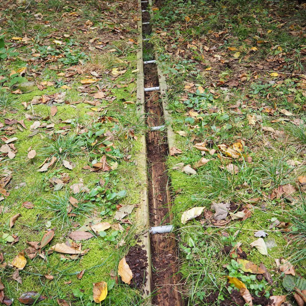 An open-top box culvert at Lennox Model Forest after cleaning. Photo taken by Kris Brown.