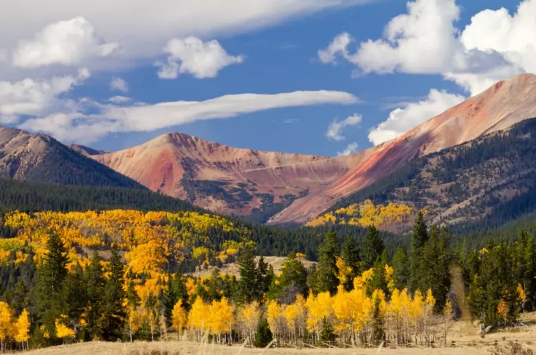 A mountain scene with green conifers and brilliant yellow aspens in the foreground and barren rusty-red mountains in the background.