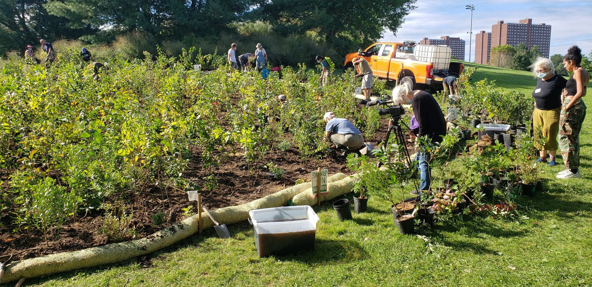 The planting site with volunteers doing different jobs.