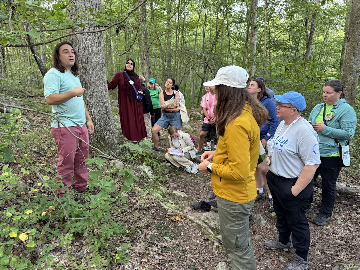 Participants learning about native plants during an indigenous plant walk. 