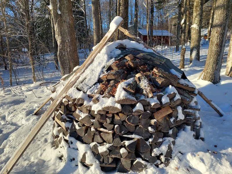 A beehive-shaped stack of firewood, with the snow brushed off the top.