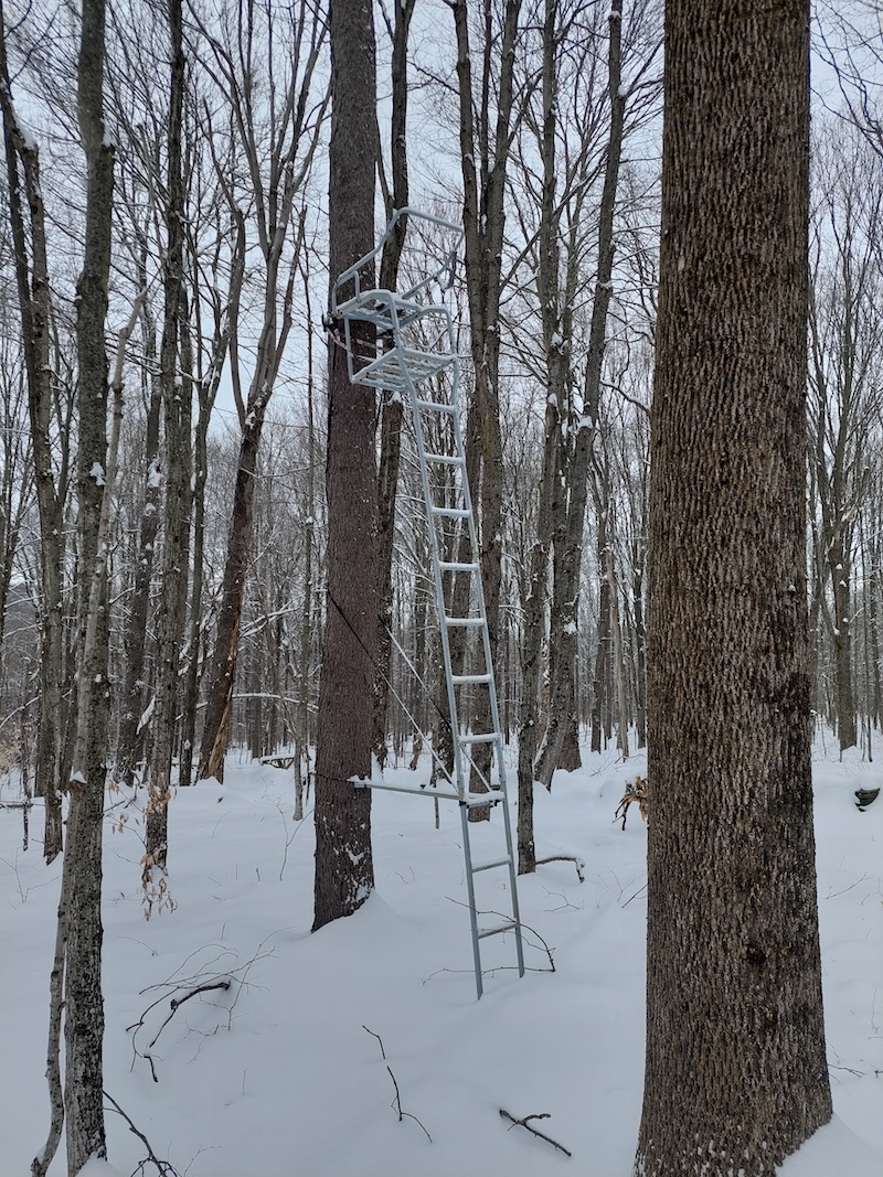 An old metal ladder stand in open hardwood forest in deep snow.