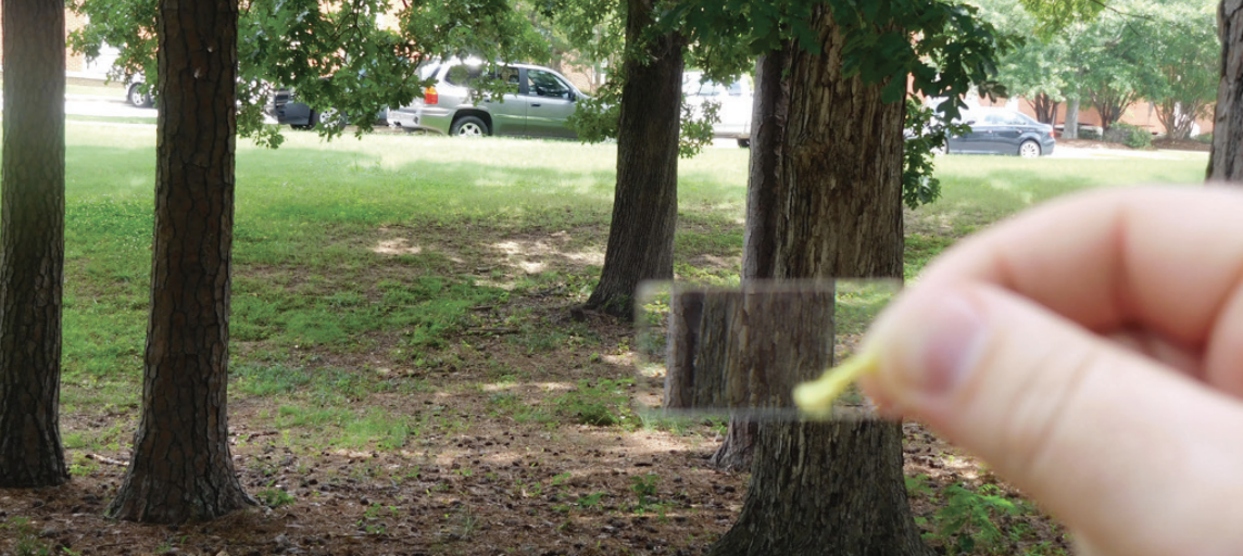Image showing a prism being used to look at a tree. The tree in the prism is overlapping with the tree outside of the prism.