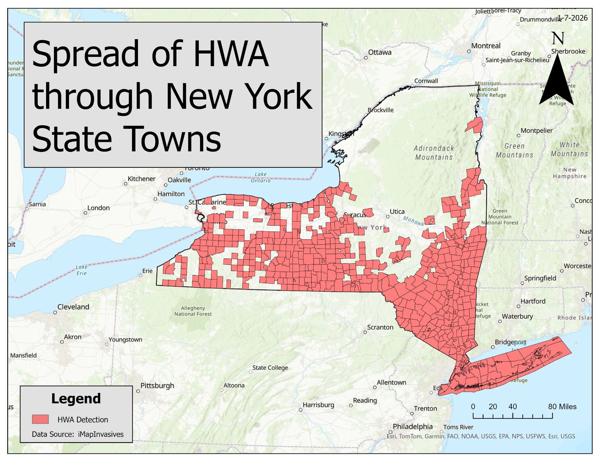 Spread of HWA through New York State Towns A map showing the towns filled in with red polygons in which Hemlock Woolly Adelgid has been detected. It looks like half the state has detected HWA.