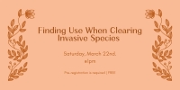 Finding Use When Clearing Invasive Species