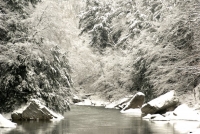 Conservation Easements 101
