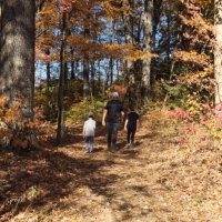 Forest Fridays: Write and Be Well