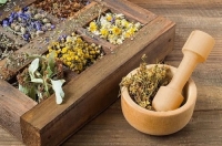 Intro to Herbalism with Claudia Nagy