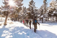 Hike &amp; Learn Series: Learn to Snowshoe