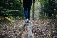March Nature Meditation