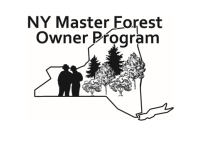 Cornell Master Forest Owner: Become a Volunteer - Zoom Info Session