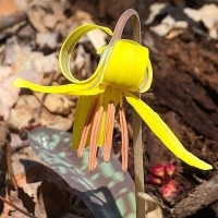 Signs of Spring Hike