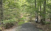Stream Side Forest Management