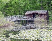 Wildflower Island Guided Tours