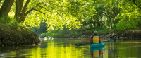 Riparian Restoration and Paddle