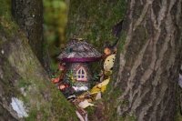 Reinstein Woods – Fairy Houses at Amherst State Park 