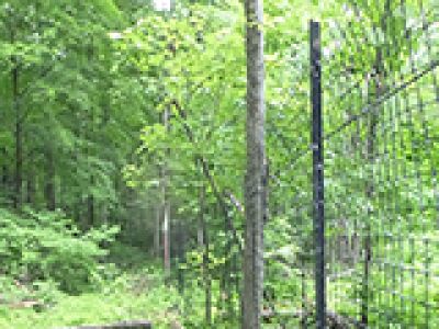 Stewardship Story: Installing a Deer Exclosure at Putnam County Fish and Game Association